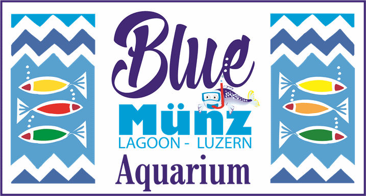 Blue-Aquarium in der Münzgasse - Münz-Lagoon - Luzern